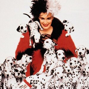 Chi-Town Dalmations (10:30 wave)